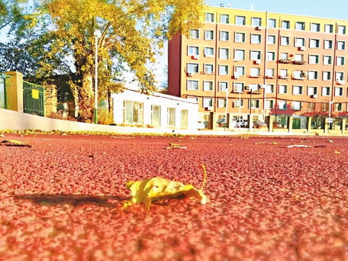 秋日最美校園 下